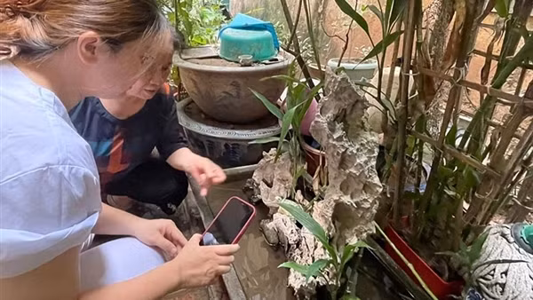 Sốt xuất huyết đang diễn biến phức tạp