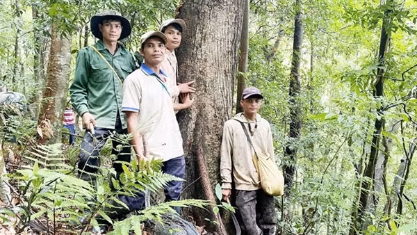 Người Xơ Đăng lập hương ước giữ rừng