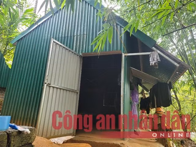 Bắt quả tang nhóm đối tượng khai thác vàng trái phép -0