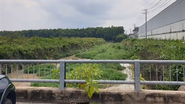 Bắt giữ 5 đối tượng sát hại người câu cá để cướp tài sản