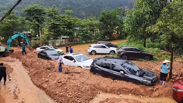 Sau thanh tra, rừng Sóc Sơn vẫn bị lấn chiếm
