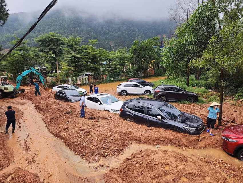 Sau thanh tra, rừng Sóc Sơn vẫn bị lấn chiếm -0