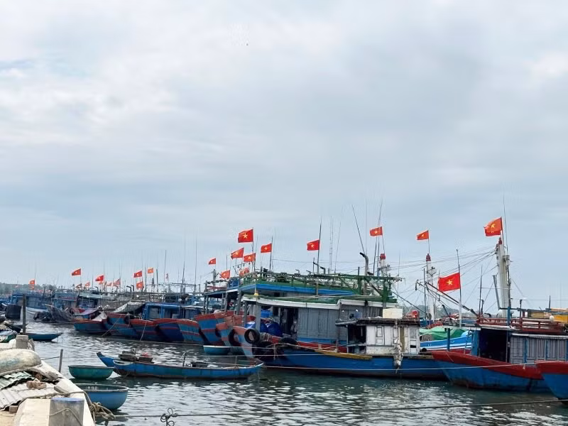 Quảng Nam đẩy mạnh hoạt động bám biển vươn khơi -0
