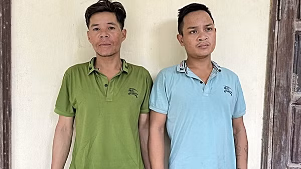 Hai đối tượng trộm hàng trăm gốc sâm Ngọc Linh