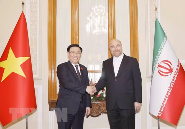 Chủ tịch Quốc hội Vương Đình Huệ hội đàm với Chủ tịch Quốc hội Iran -0