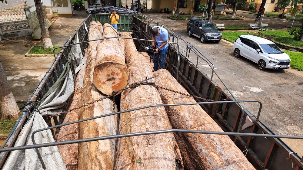 Xe đầu kéo vận chuyển 23 lóng gỗ trái phép ở khu vực biên giới -0