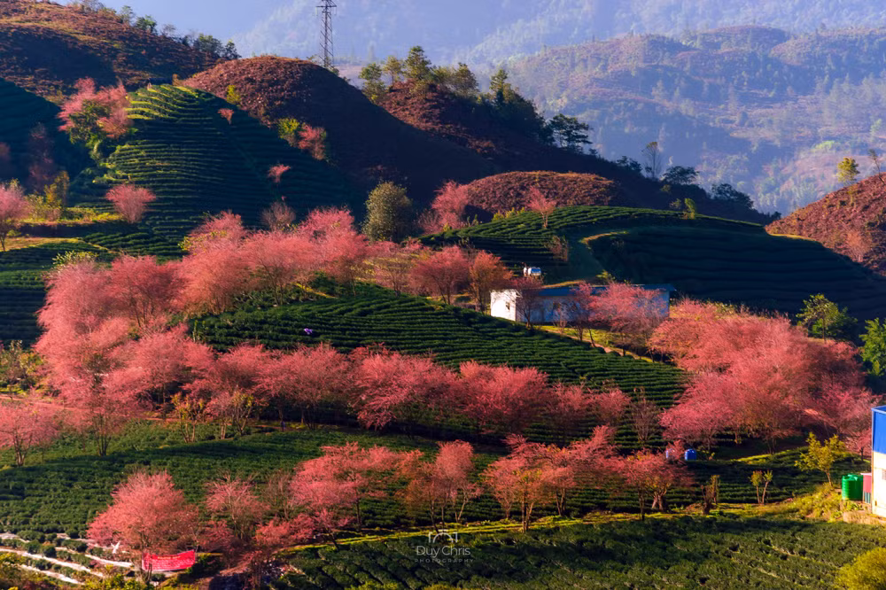 cần gìn giữ những nét đẹp hoang sơ và văn hóa sa pa.jpg -0