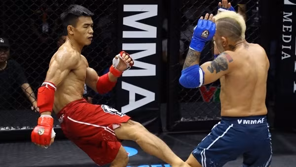 Con đường biến MMA trở thành môn võ&nbsp;"2 trong 1" của Việt Nam