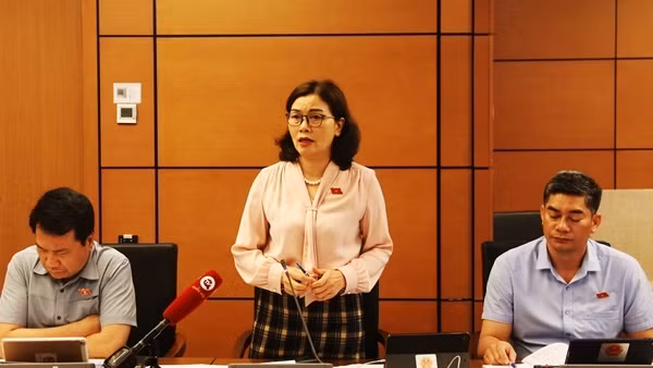 Tăng thời hạn cấp thị thực điện tử được đại biểu Quốc hội ủng hộ, đánh giá cao
