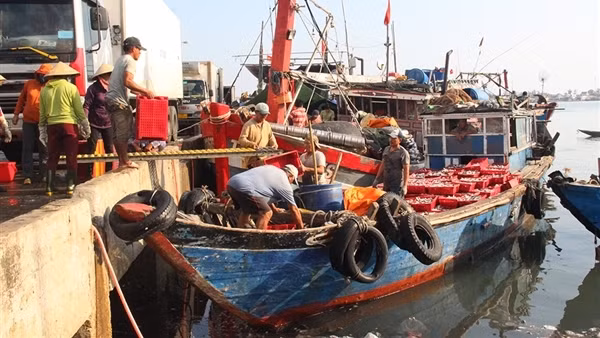 Ngư dân Thừa Thiên-Huế chung sức gỡ bỏ “thẻ vàng” IUU