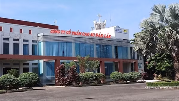 Cựu Tổng Giám đốc Công ty Cao su Đắk Lắk lập công ty “ma” để rửa tiền