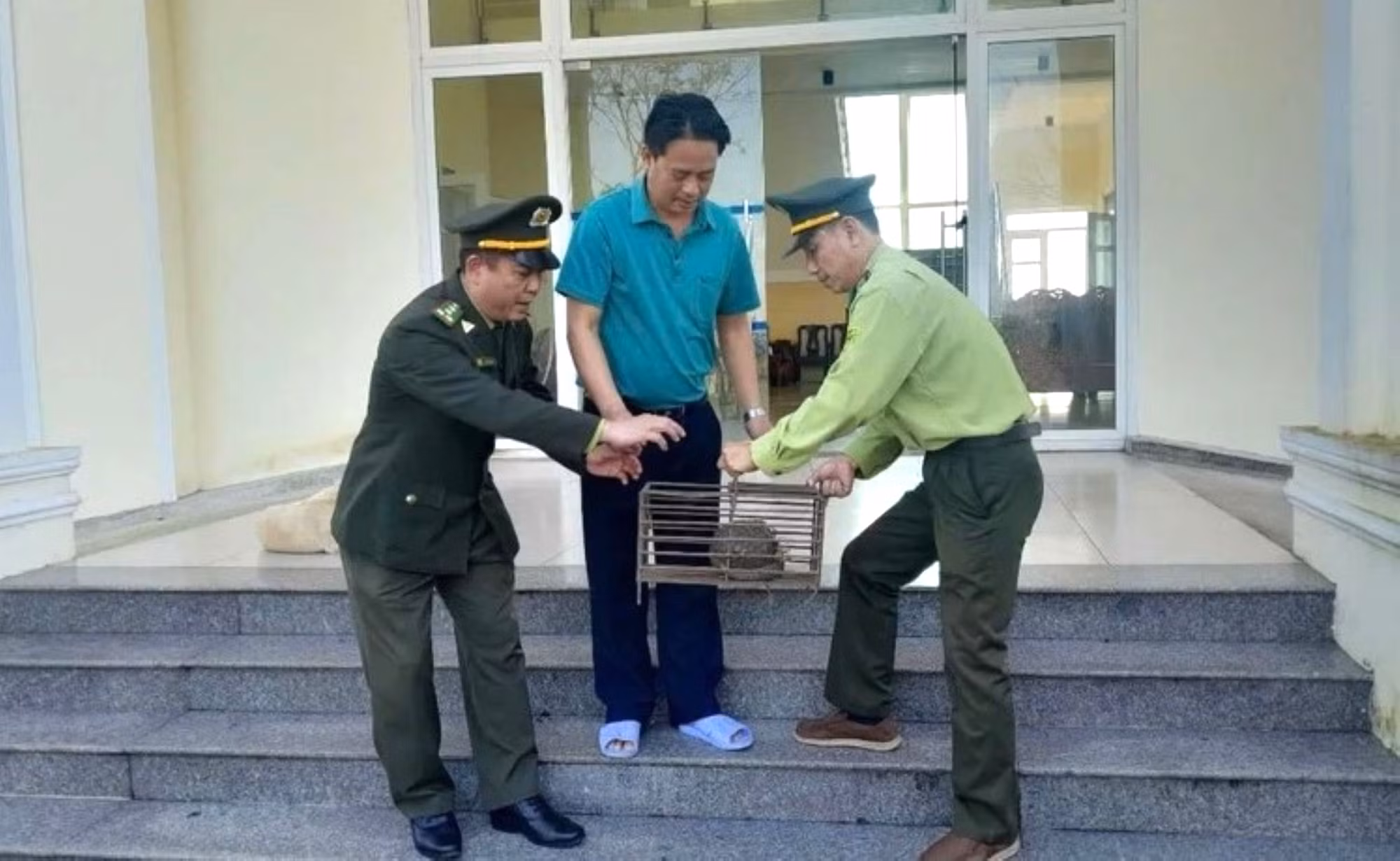 Người dân giao nộp nhiều cá thể động vật quý hiếm có tên trong Sách đỏ -0