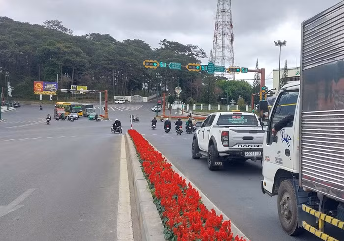 Qua Camera, phát hiện nhiều ôtô vượt đèn đỏ ở Đà Lạt -0