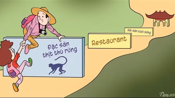 Phỏng vấn con đò