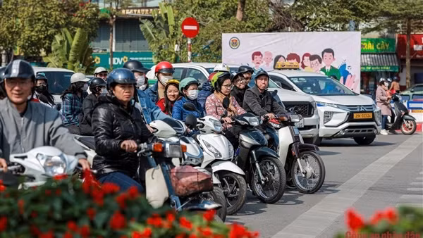 Vi phạm giao thông tại Hà Nội giảm gần 45%