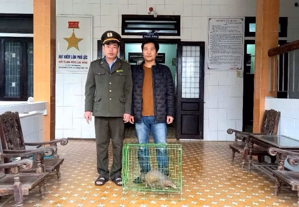 Người dân giao nộp nhiều cá thể động vật quý hiếm có tên trong Sách đỏ -0