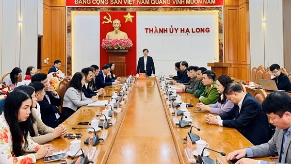 12 cán bộ lãnh đạo ở TP Hạ Long xin nghỉ hưu trước thời hạn