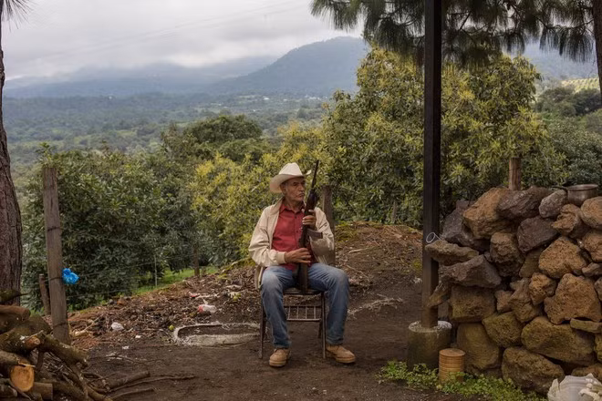 Mexico: mafia chuyển từ ma túy sang bơ -0