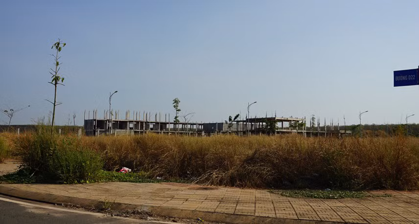 Chấm dứt hợp đồng với các nhà thầu chậm tiến độ xây trường học phục vụ dự án tái định cư Sân bay Long Thành -0