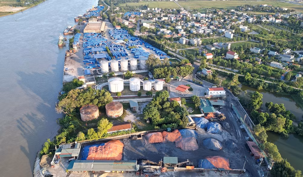 Gam màu sáng trong bức tranh thu hút… “đại bàng” (Kỳ 4) -0
