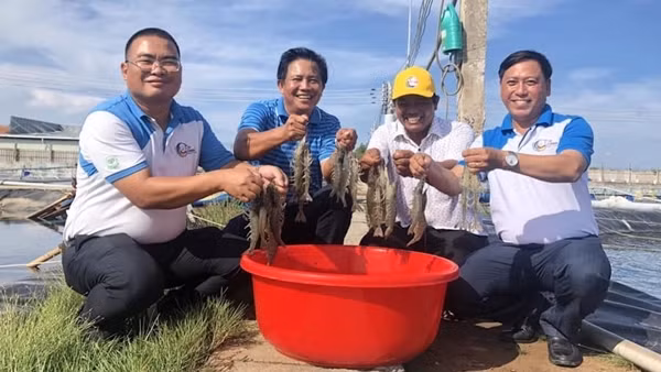 Về xứ Dừa, nghe chuyện nông dân tỷ phú…