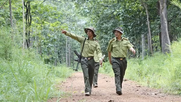 Một kiểm lâm trúng đạn khi đang tuần tra bảo vệ Vườn quốc gia Yok Đôn