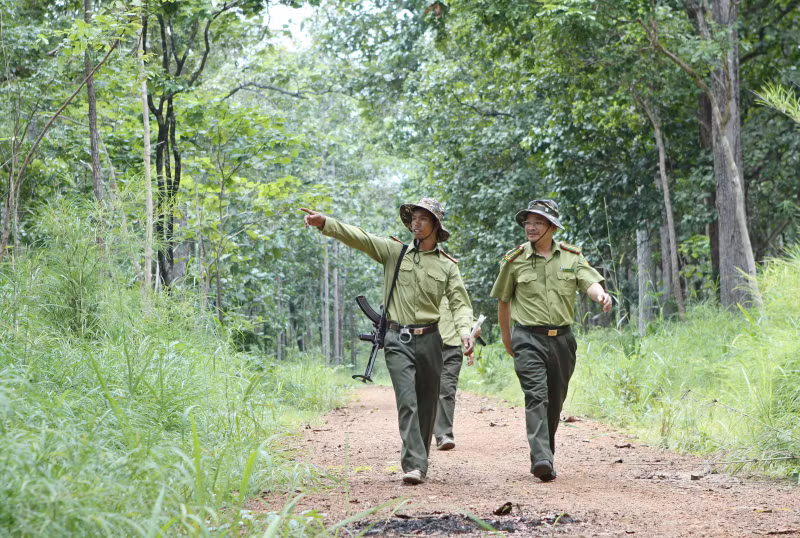 Tuần tra bảo vệ rừng, một kiểm lâm bất ngờ bị trúng đạn -0
