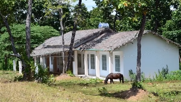 Tạm giam cựu phó trưởng phòng Công ty Cao su Đắk Lắk