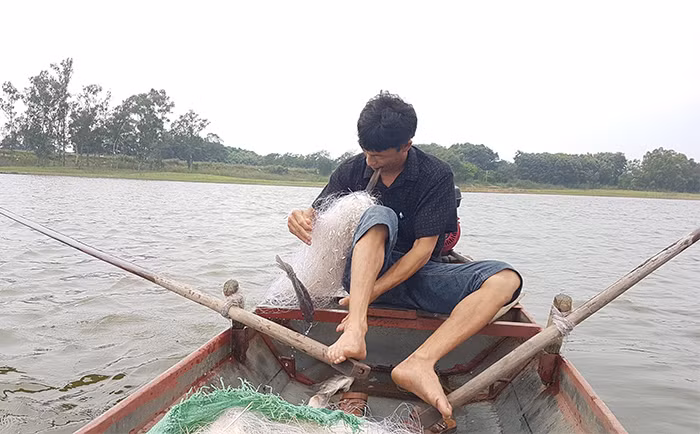 Đồng Mai một thuở vàng son -0