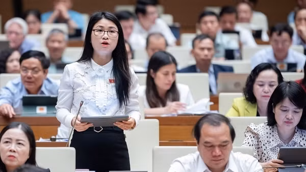 Việc cấp giấy chứng nhận căn cước cho người gốc Việt Nam là hoàn toàn phù hợp