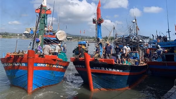 Đoàn thanh tra thẻ vàng EC: Chế tài xử lý doanh nghiệp gian lận chưa nghiêm khắc