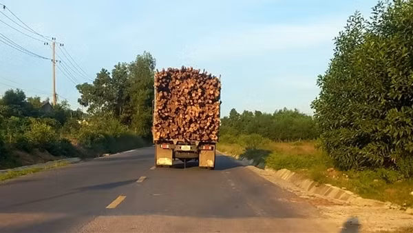 Quảng Nam kêu gọi nhân dân chung tay đảm bảo trật tự an toàn giao thông