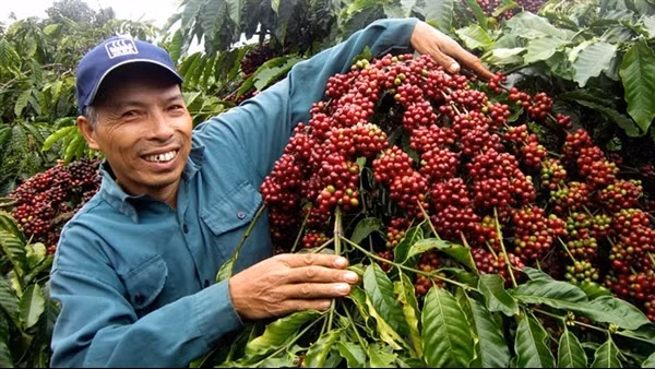 Doanh nghiệp tìm cơ hội trong ứng phó với biến đổi khí hậu