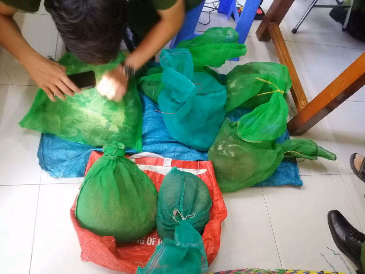 Đang chở 11 cá thể động vật nguy cấp, quý hiếm đi bán thì bị bắt -0