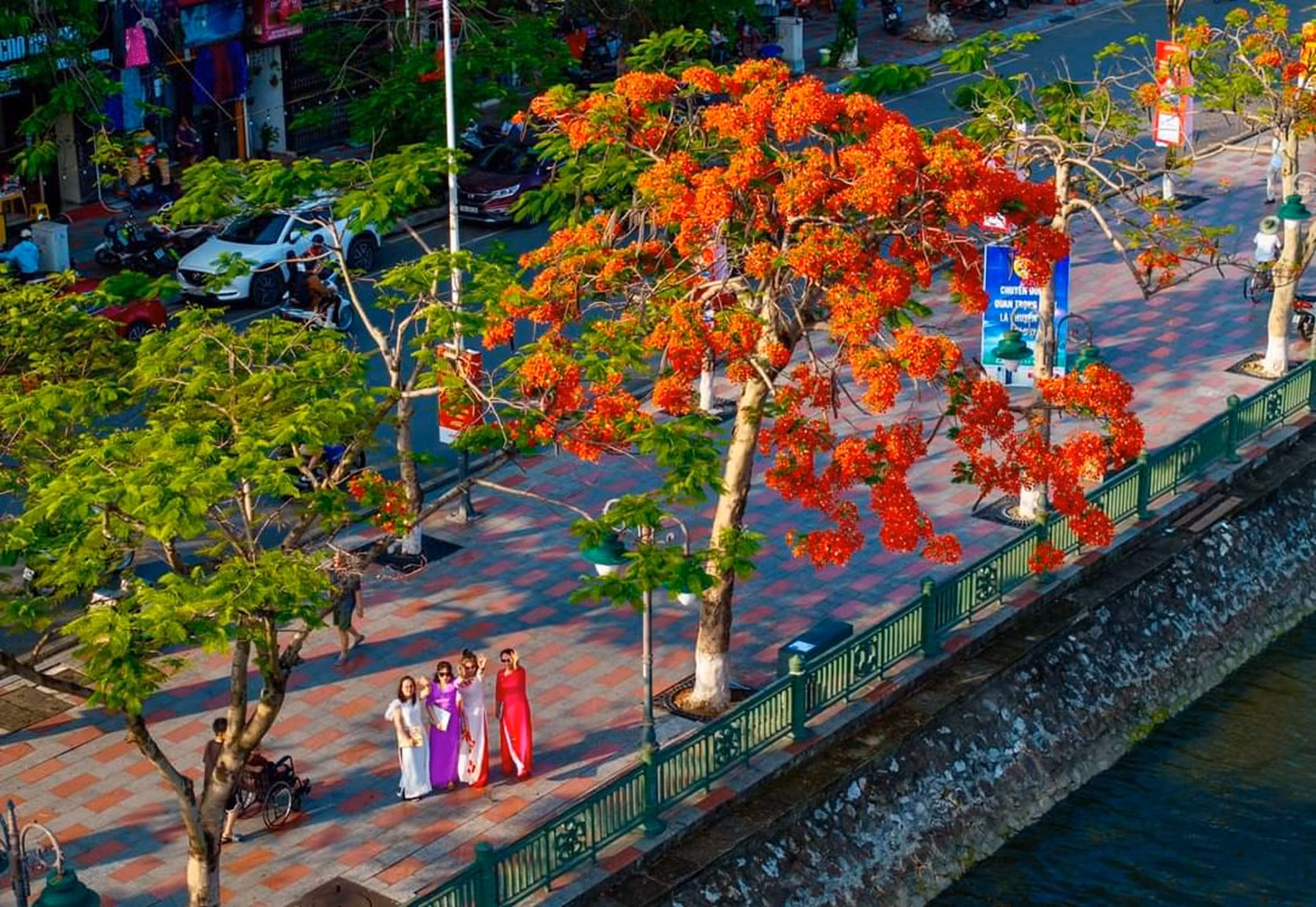 Hải Phòng - thành phố của hoa -0