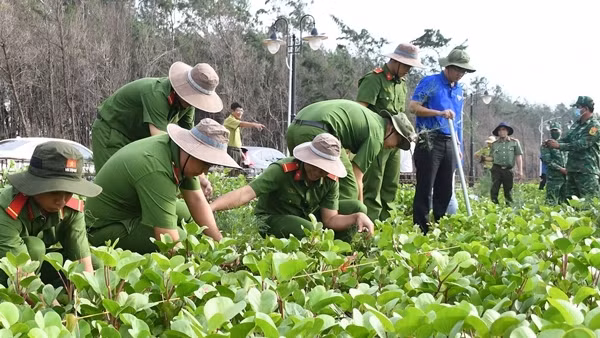 Tuổi trẻ Công an Trà Vinh phối hợp trồng 2.500&nbsp;cây&nbsp;xanh khu&nbsp;vực rừng phòng hộ