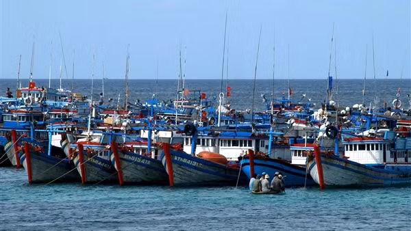 Thủ tướng yêu cầu tập trung xử lý vi phạm về Hệ thống giám sát hành trình tàu cá