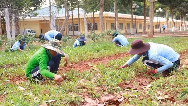 Bắt tạm giam Phó Trưởng phòng Y tế cơ sở cai nghiện liên quan vụ 3 học viên tử vong
