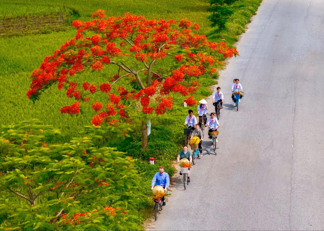 Du khách đổ về Hải Phòng 