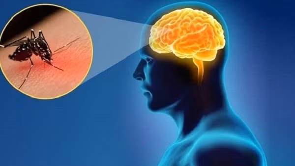 Đắk Lắk ghi nhận ca viêm não Nhật Bản đầu tiên