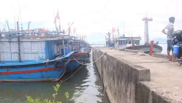 Ngudan-1719715262370.JPG