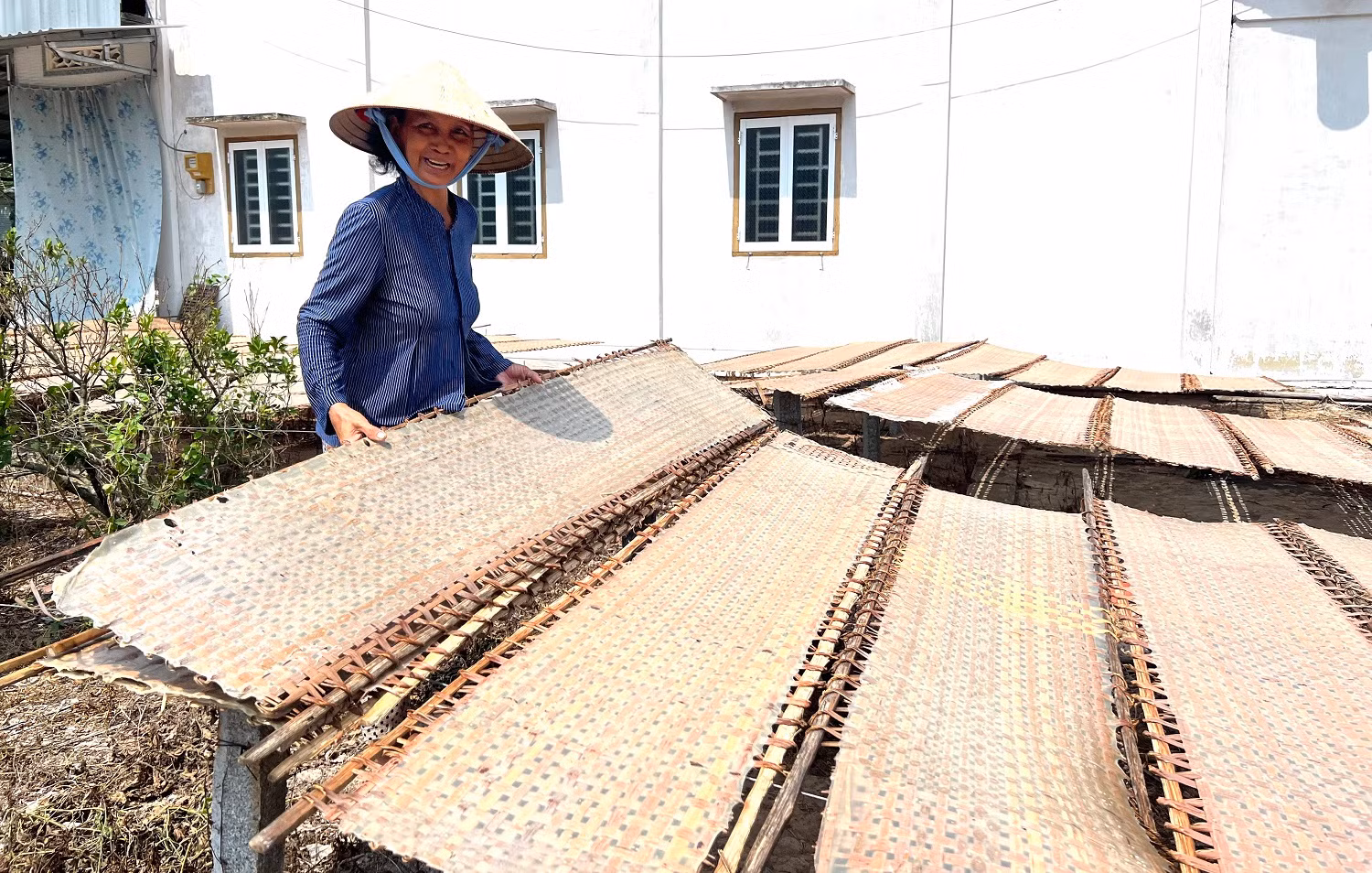 Đặc sản miền Tây vào vụ Tết, giá nhích nhẹ -0