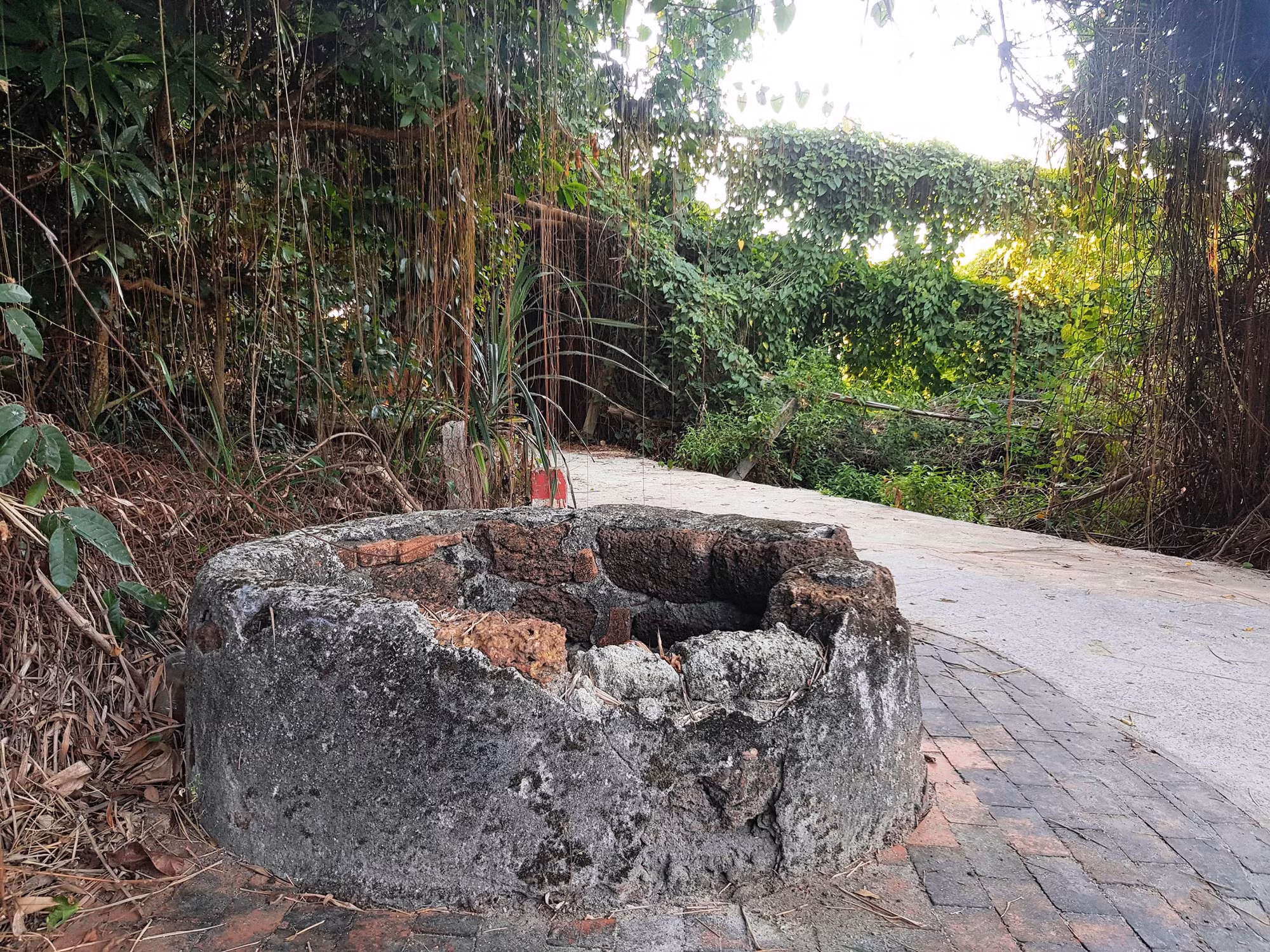 Khám phá vẽ đẹp bãi Sậy sông Đầm -0