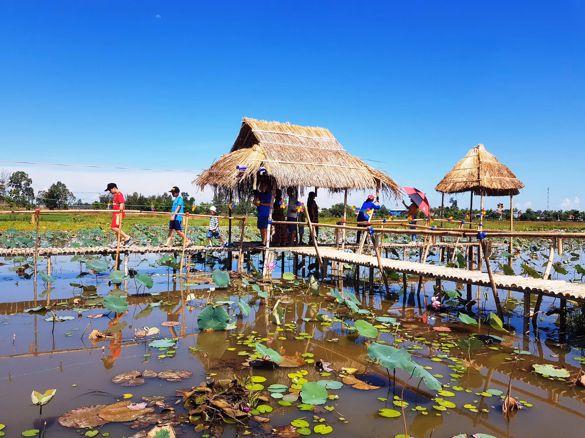 Khám phá vẽ đẹp bãi Sậy sông Đầm -4