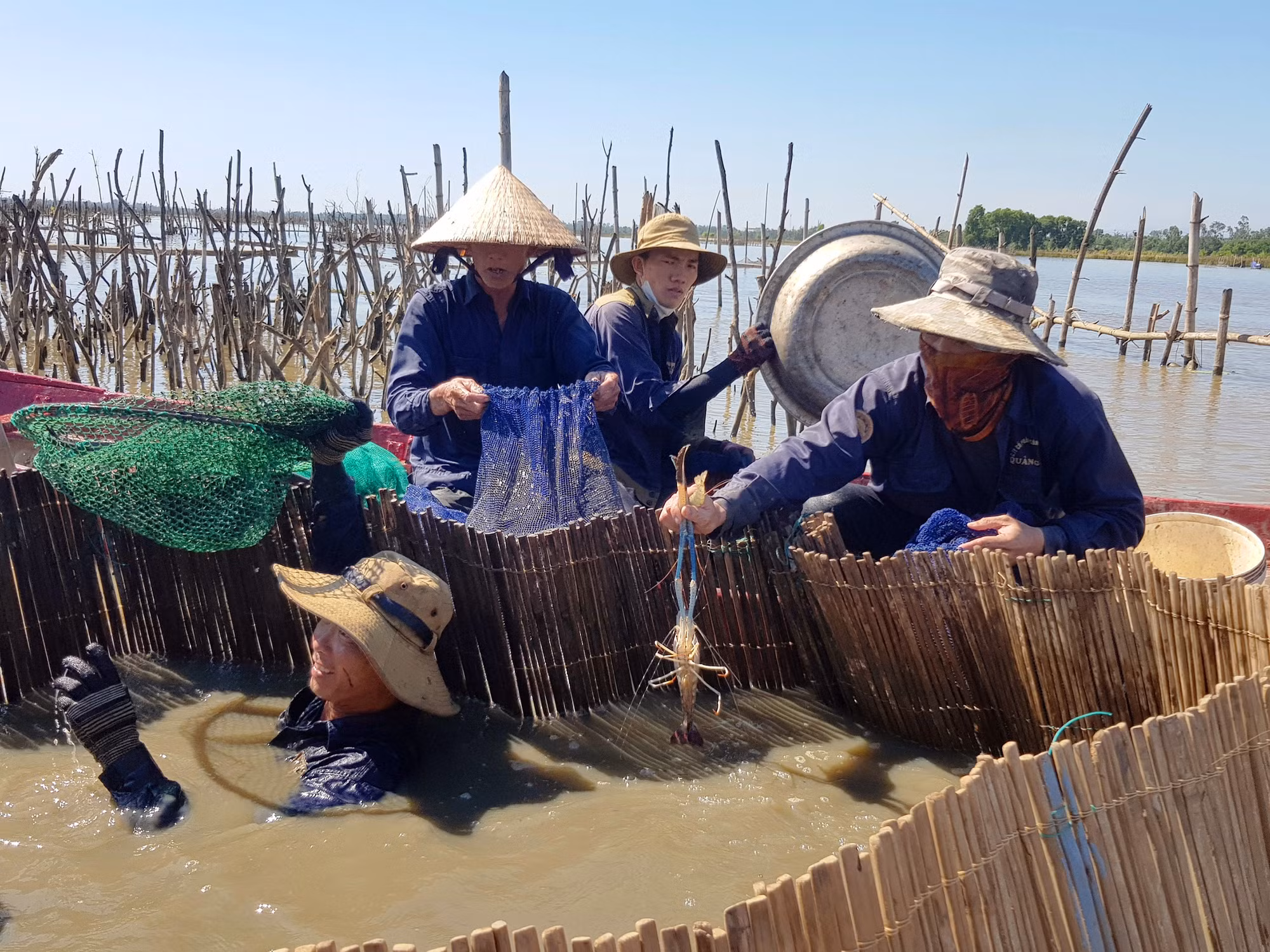Khám phá vẽ đẹp bãi Sậy sông Đầm -3