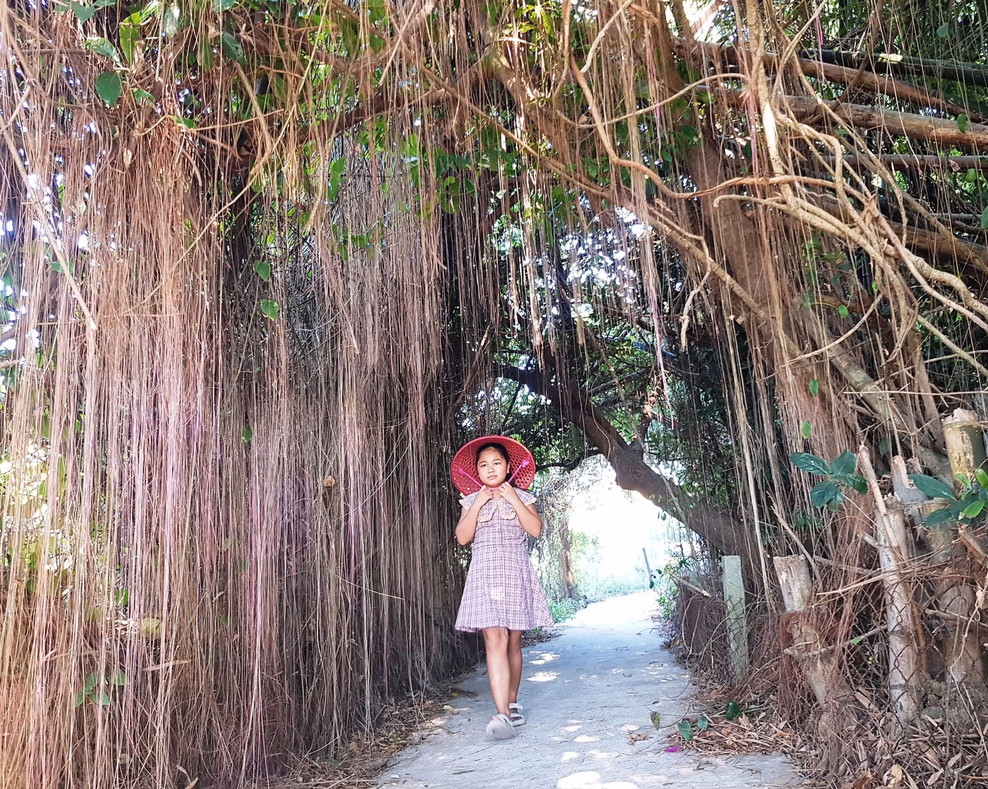 Khám phá vẽ đẹp bãi Sậy sông Đầm -0