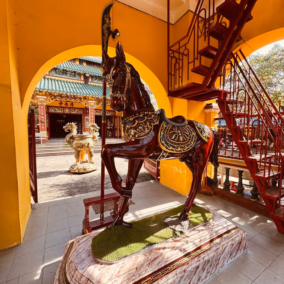 Độc đáo phong tục “chui bụng ngựa” cầu may đầu năm tại TP Hồ Chí Minh -1