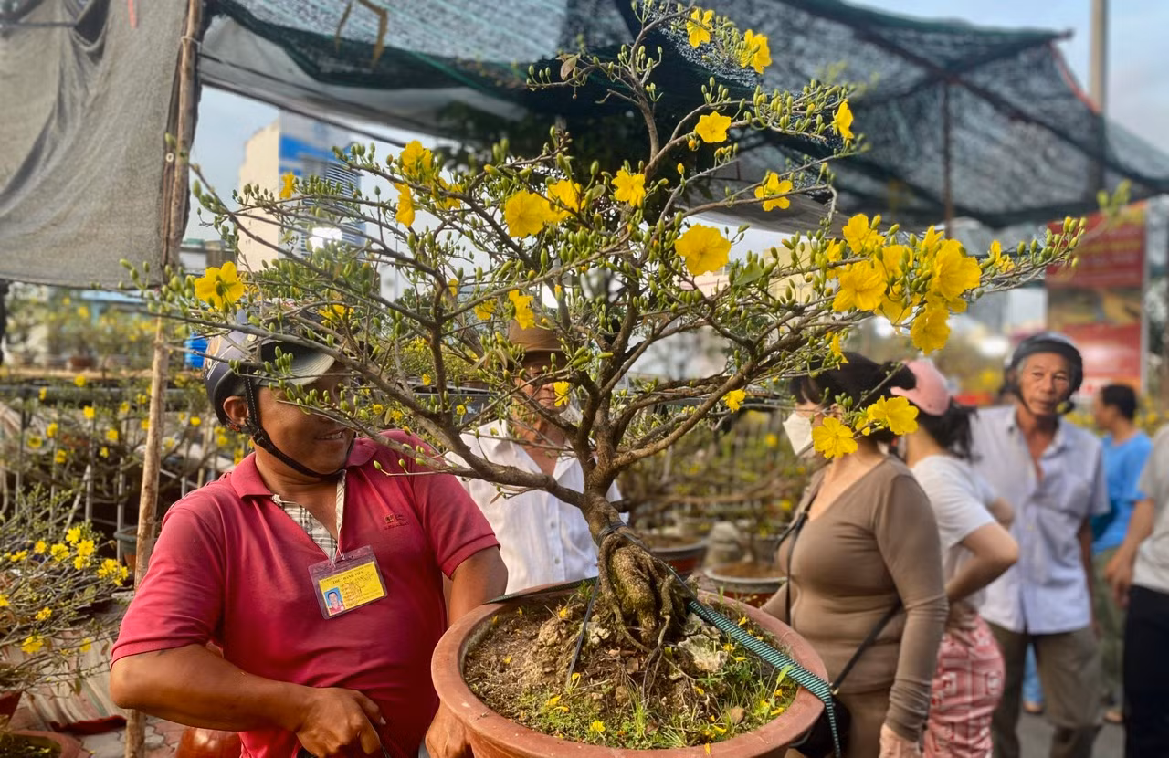 Chiều tối 28 tháng Chạp: Người dân TP Hồ Chí Minh tất bật mang Xuân về nhà -3