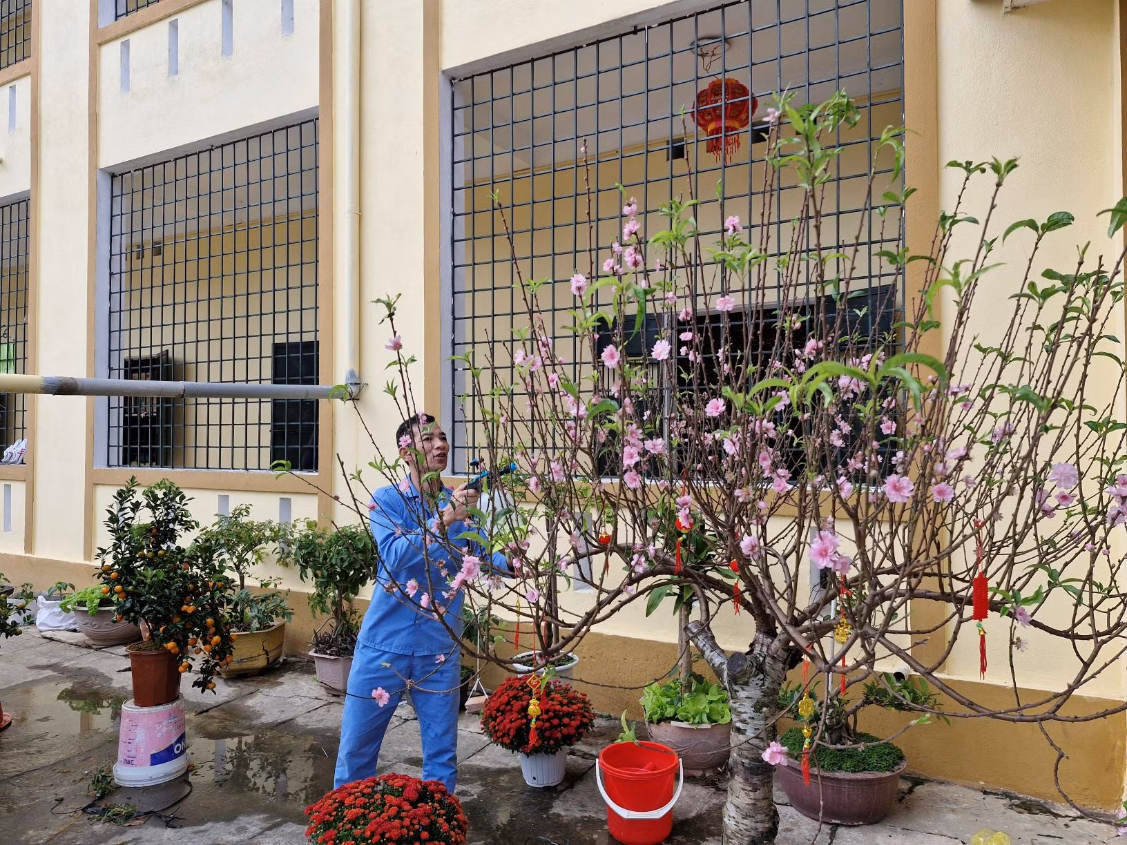 Không khí đón Tết ở các Cơ sở cai nghiện tỉnh Thanh Hóa -0