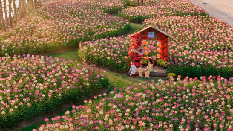 Tết giữa miền xanh tại các đại đô thị của Ecopark -0